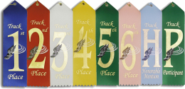 Track Ribbon