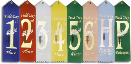 Field Day Ribbon