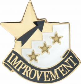 Improvement Pin