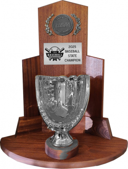 Softball State Runner-Up Trophy